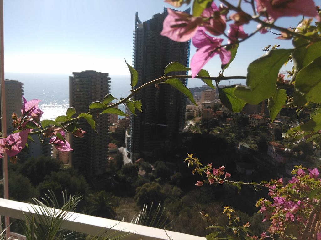 Monaco Pool Sea View Apartments Beausoleil Exteriér fotografie